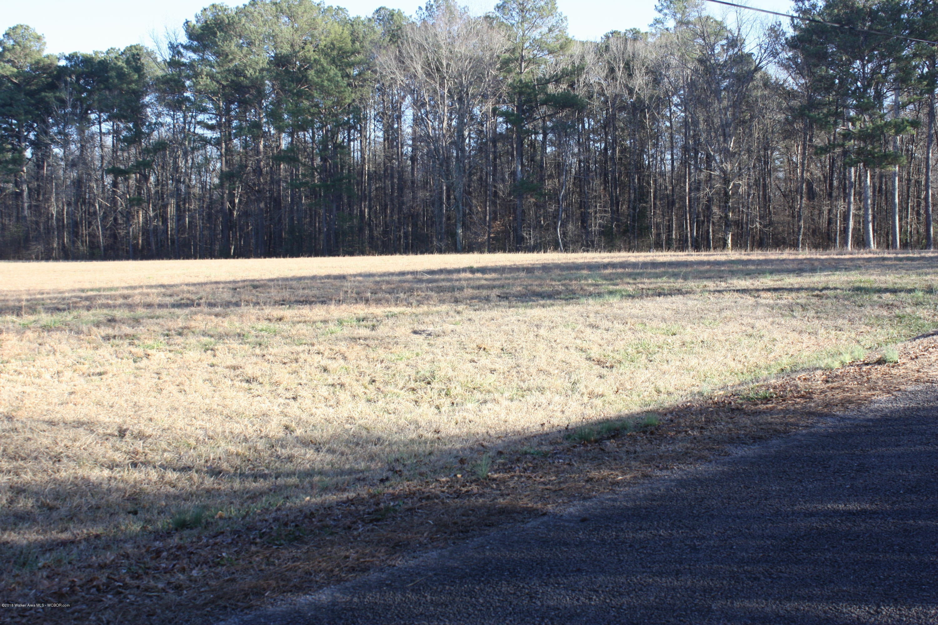 Henslee Road Carbon Hill, AL 35549 - Photo 5 of 13 Gallery Image 5