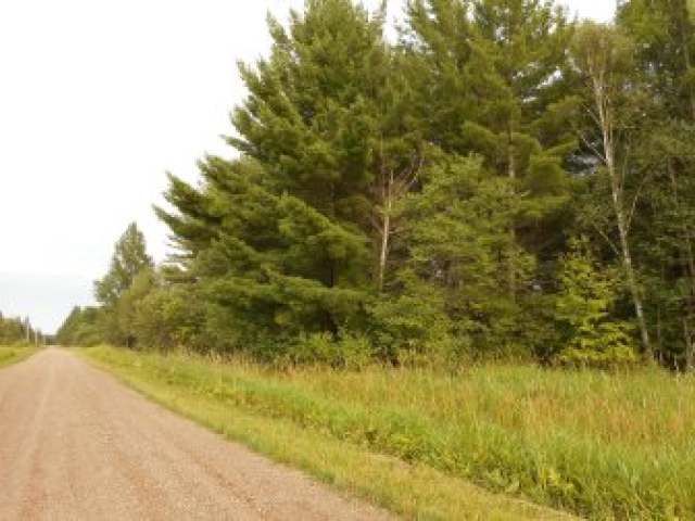 On Sub-Station Road Phillips, WI 54555 - Photo 2 of 3 Gallery Image 2