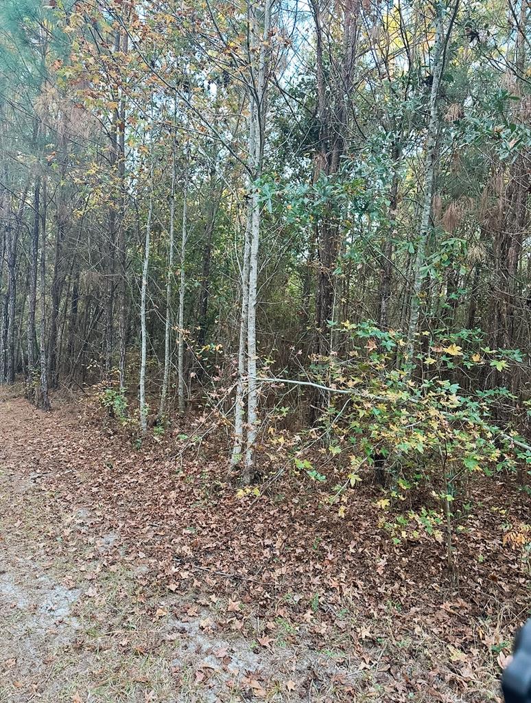 0 Porter Road Lake Park, GA 31636 - Photo 11 of 33 Gallery Image 11