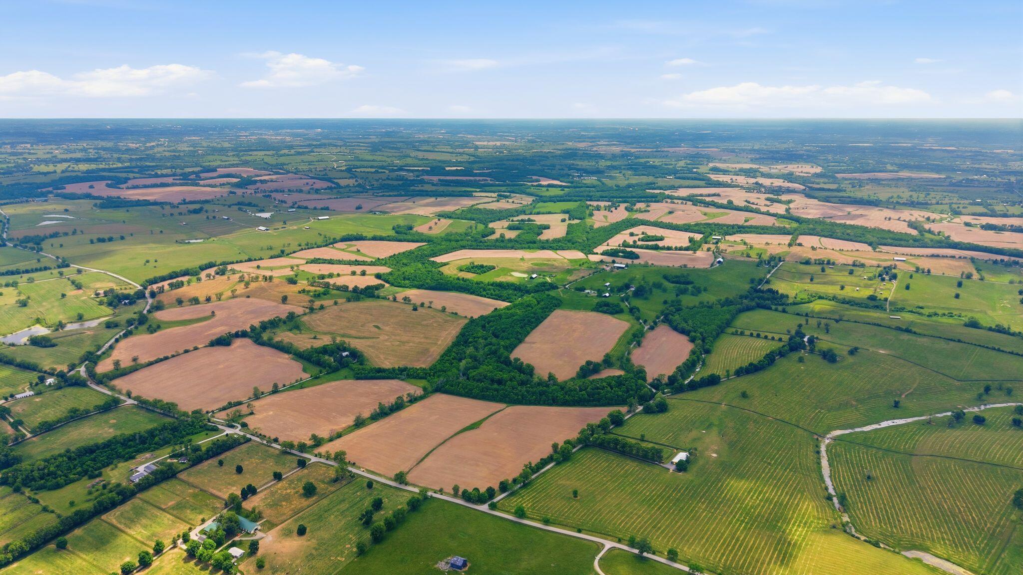1010 Escondida Road Paris, KY 40361 - Photo 39 of 48 DJI_20260519145250_0361_D