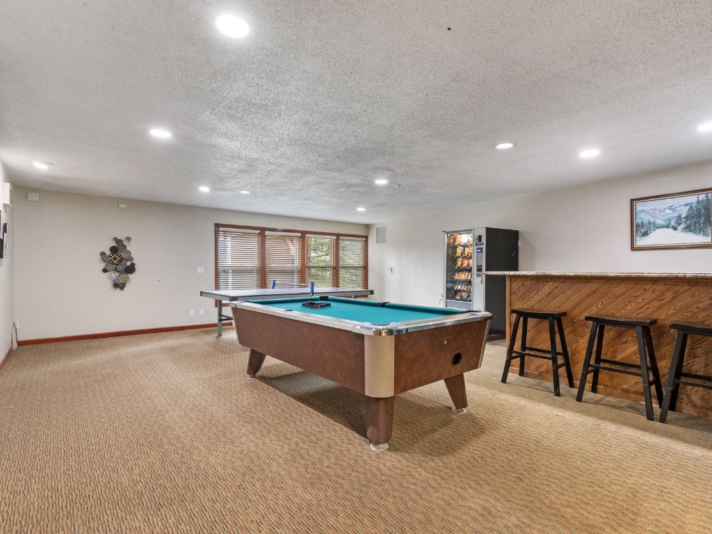 9825 Ryan Gulch Road, Unit B108 Silverthorne, CO 80498 - Photo 20 of 26 a living room with furniture a table and a potted plant