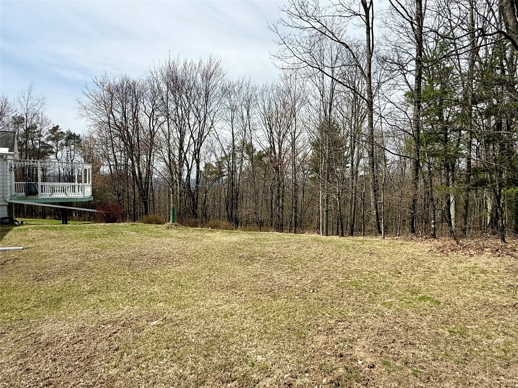 68 Andrews Road Vestal, NY 13850 - Photo 32 of 42