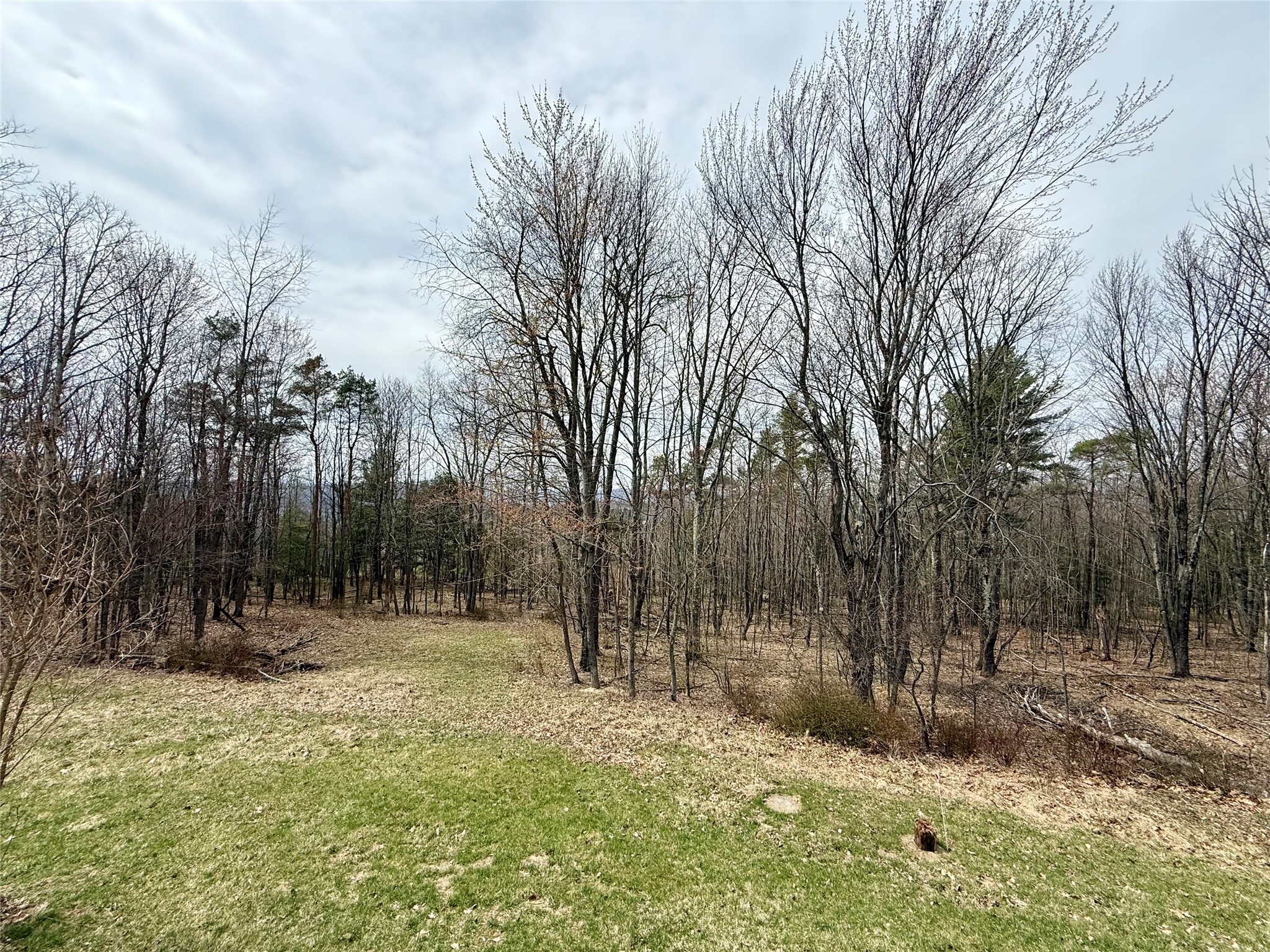 68 Andrews Road Vestal, NY 13850 - Photo 34 of 42