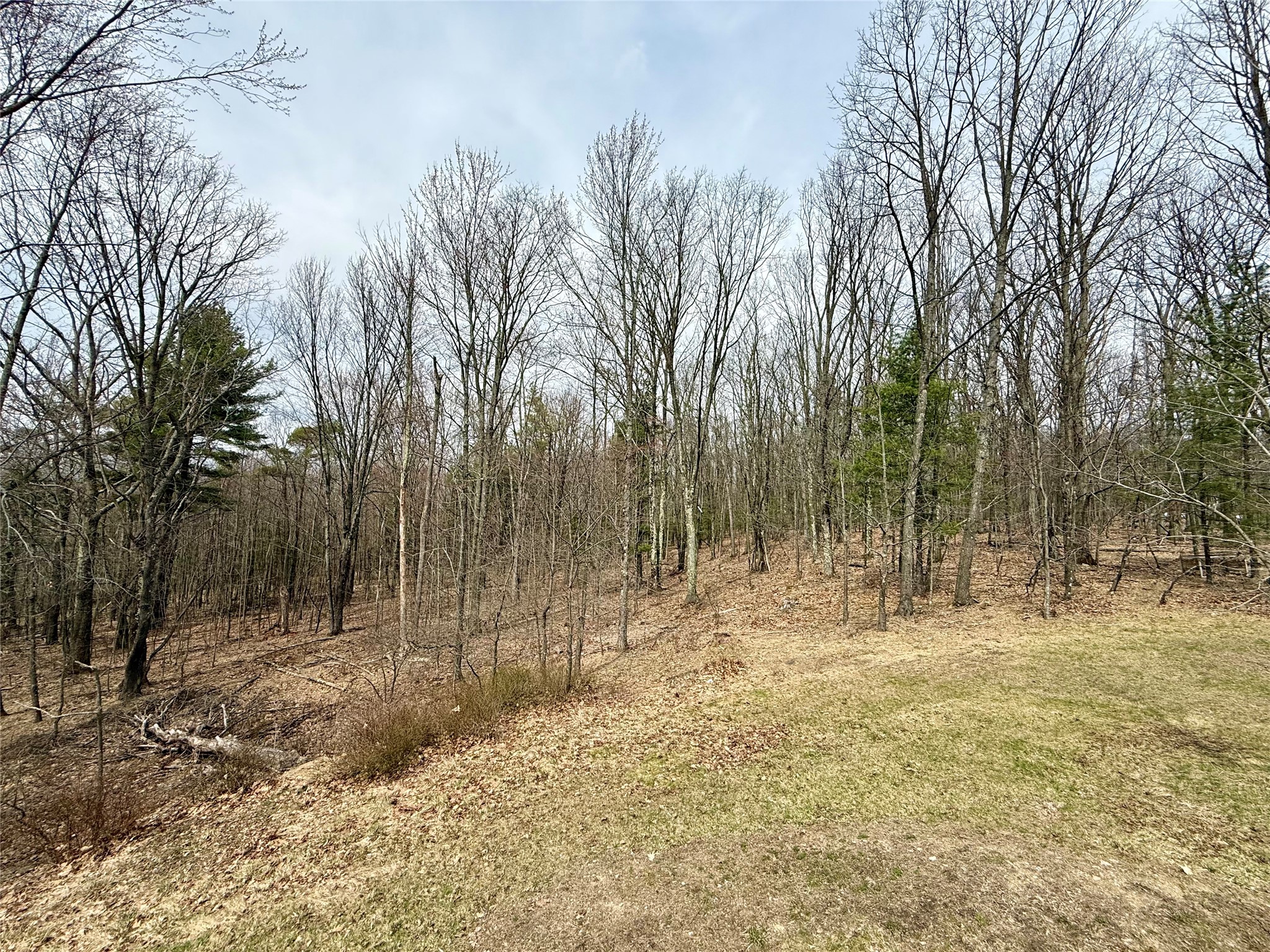 68 Andrews Road Vestal, NY 13850 - Photo 35 of 42