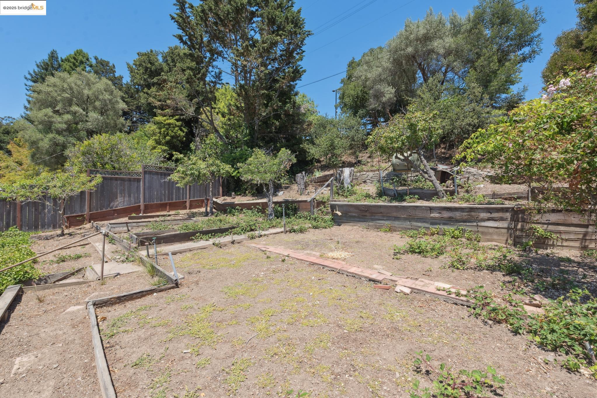 4751 Lincoln Avenue Oakland, CA 94602 - Photo 51 of 60 View of yard featuring a garden