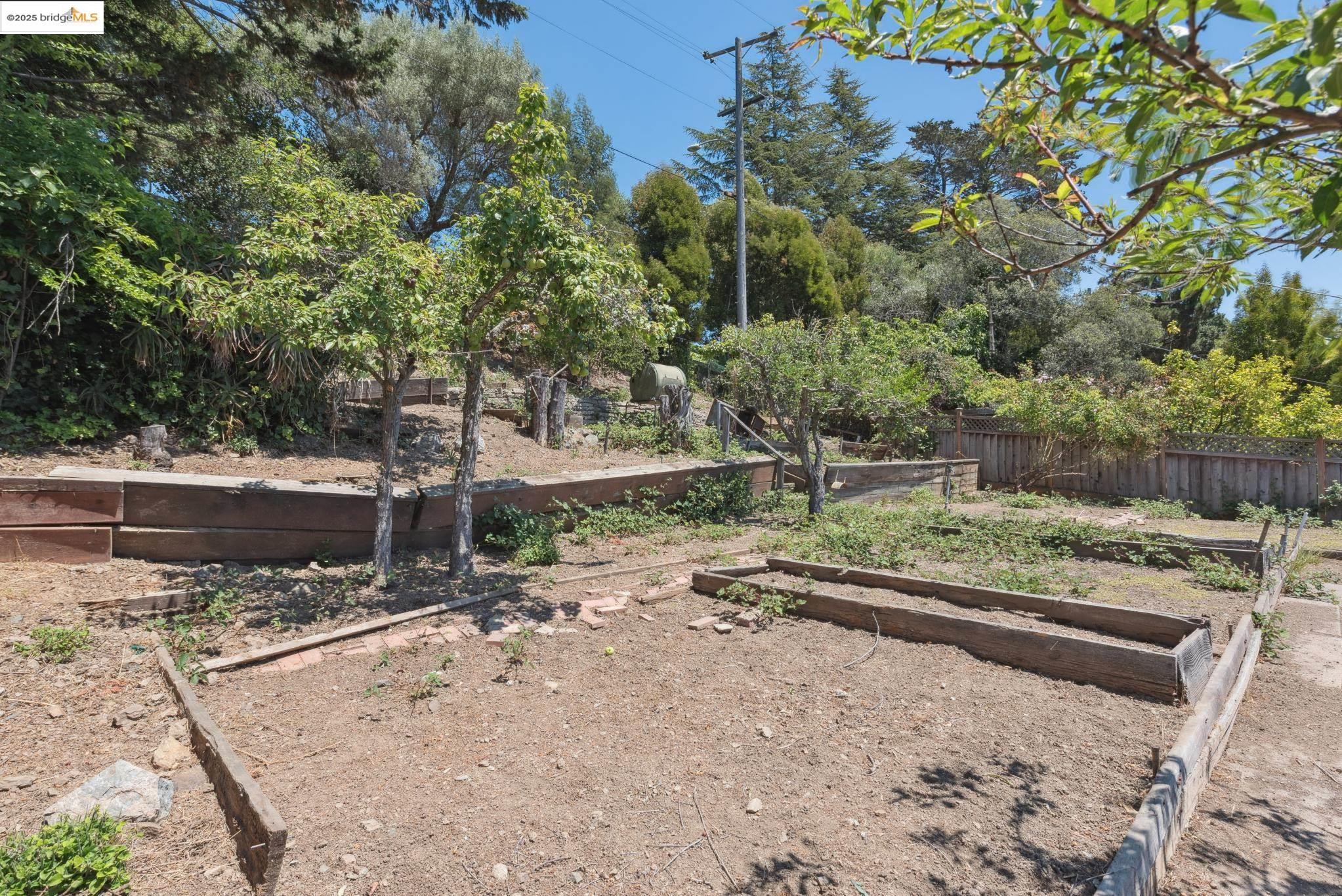 4751 Lincoln Avenue Oakland, CA 94602 - Photo 53 of 60 View of yard featuring a garden and view of wooded area