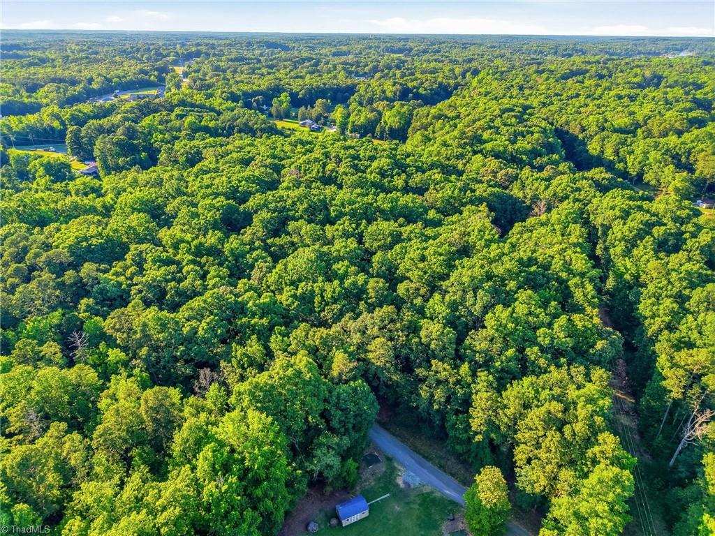 0 Roy Coppley Road Lexington, NC 27292 - Photo 16 of 25