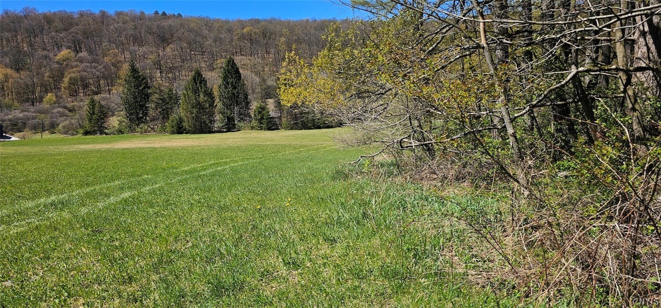 1720 County Route 12 De Ruyter, NY 13052 - Photo 38 of 49