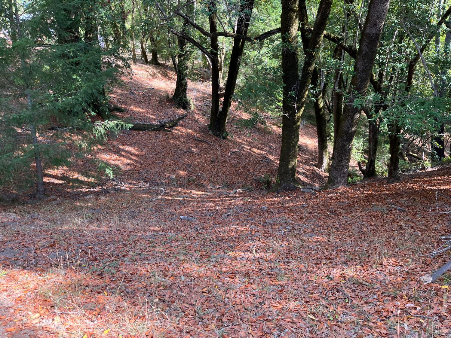 38555 Hauser Bridge Road Cazadero, CA 95421 - Photo 87 of 93
