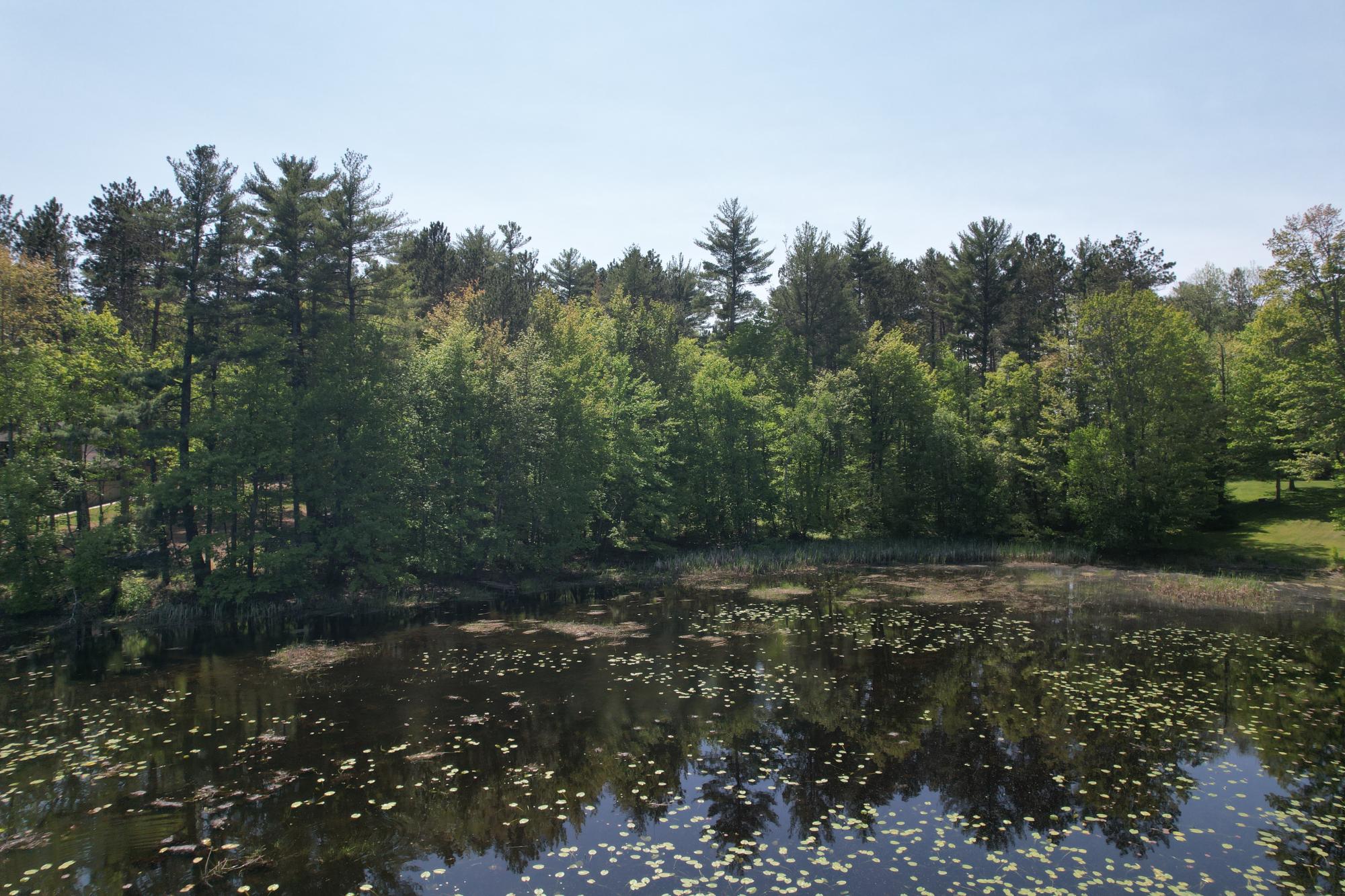 95-acrs Deer Lake Road Tomahawk, WI 54487 - Photo 14 of 17 Gallery Image 14