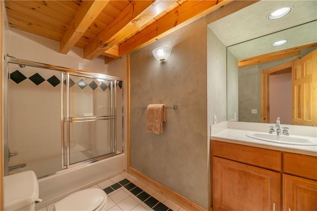 1202 Tiger Road Breckenridge, CO 80424 - Photo 18 of 35 a bathroom with a sink a toilet and shower