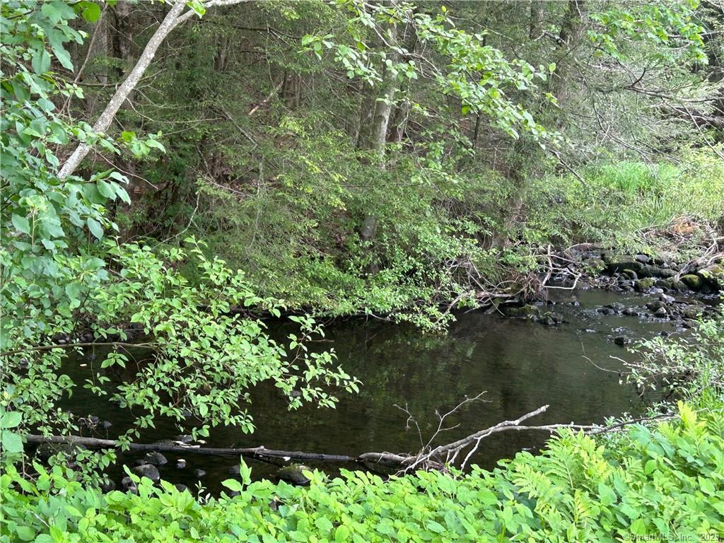 a view of a lake with a tree