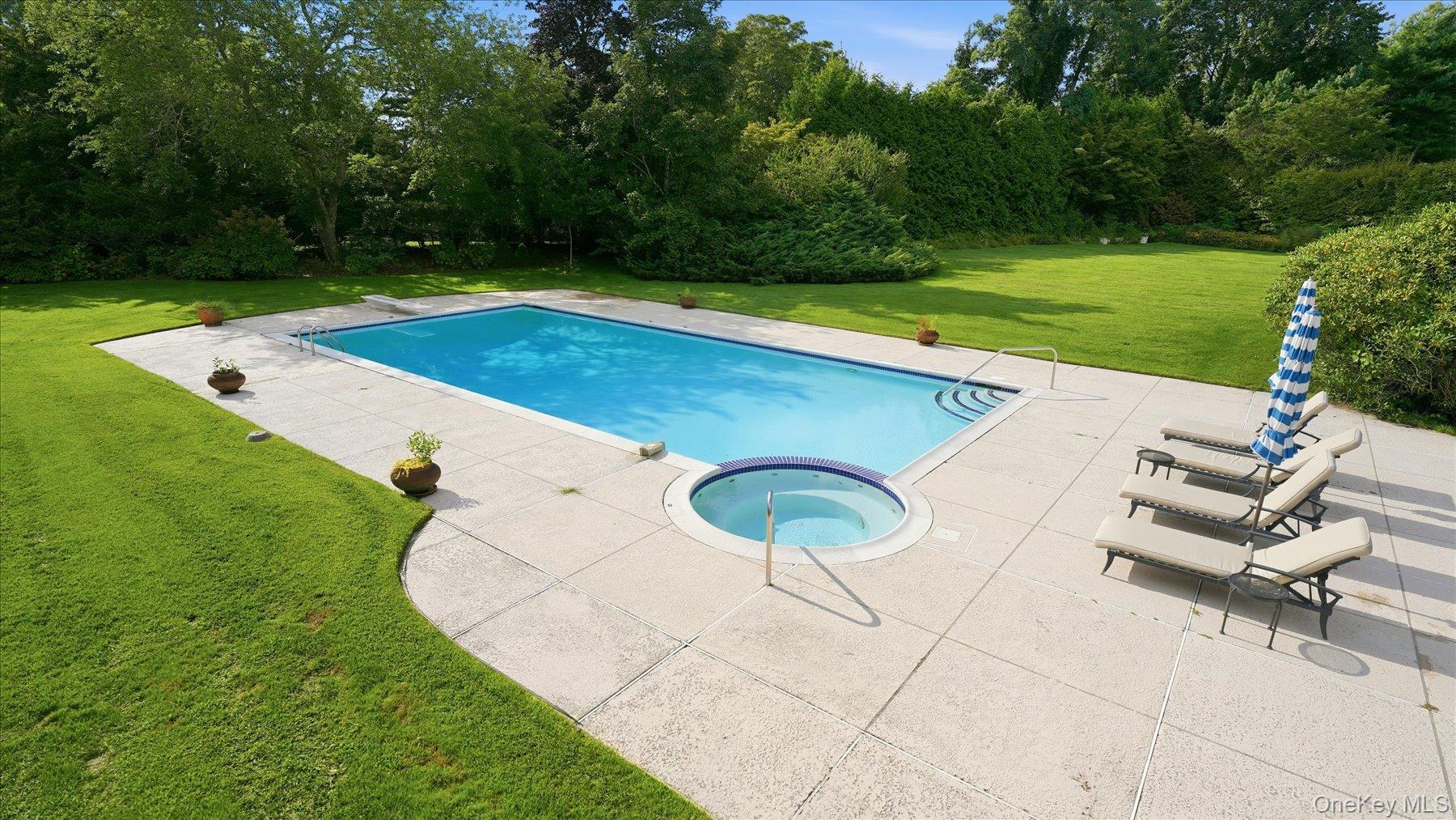 25 Ring Neck Road Remsenburg, NY 11960 - Photo 8 of 19 The pool with jacuzzi spa. Note mature landscaping for privacy