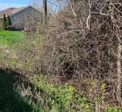 $299,900 | Xxx Newton Avenue Southeast, Watertown, MN 55388