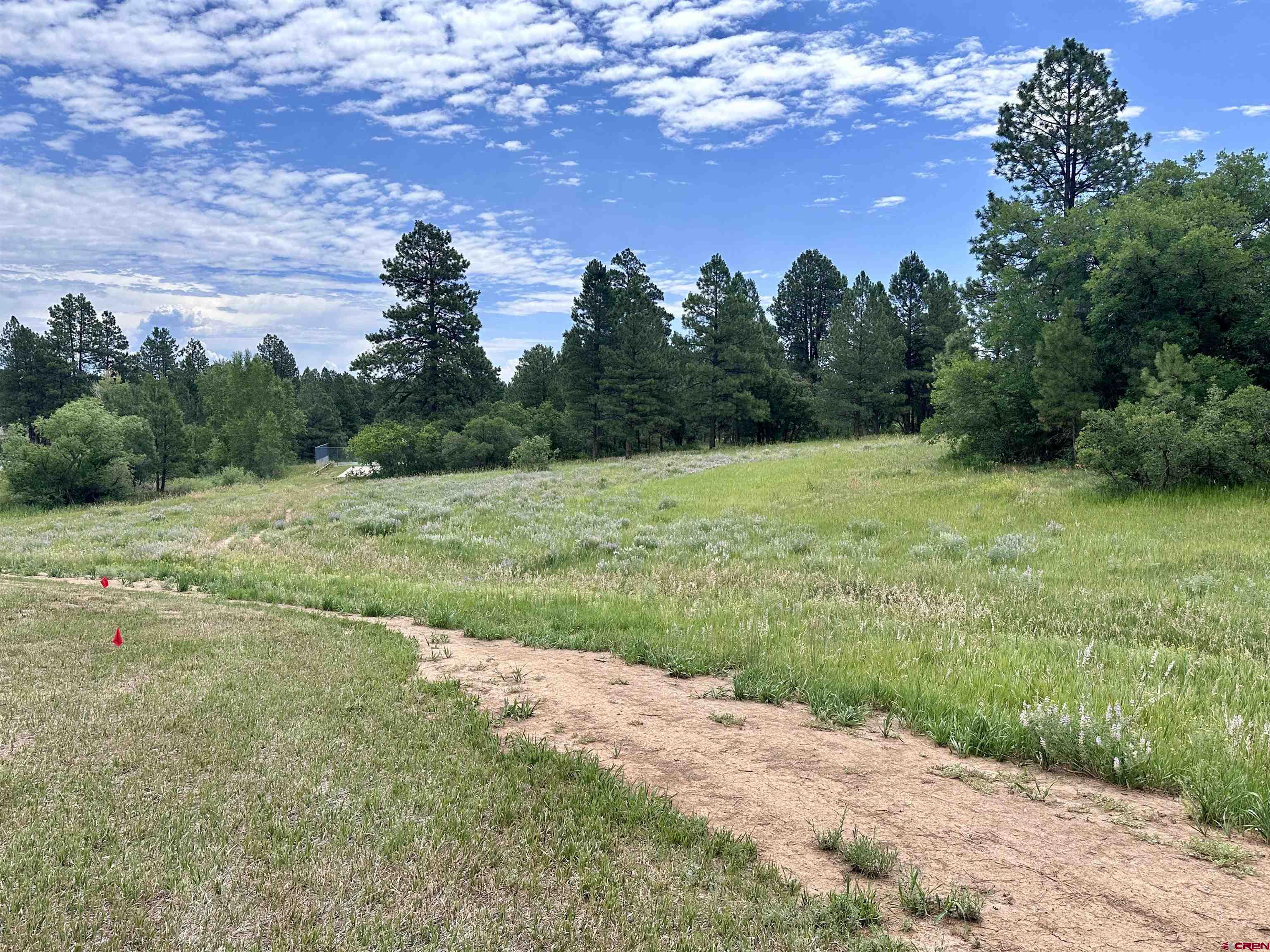 232 Pine Ridge Loop Durango, CO 81301 - Photo 32 of 35 a view of a field with an trees