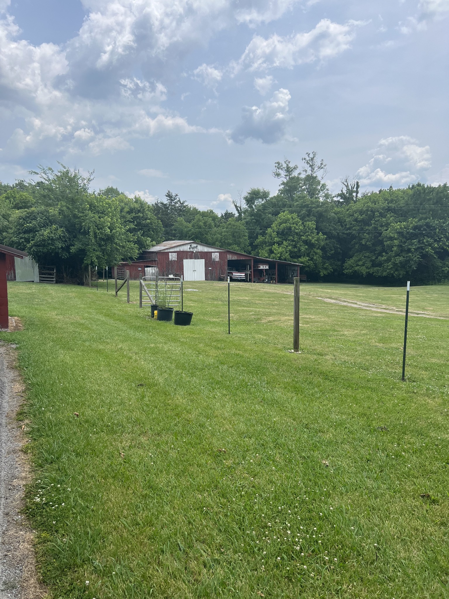 4629 Southeast Tater Peeler Road Lebanon, TN 37090 - Photo 11 of 11 a view of outdoor space with green field and trees