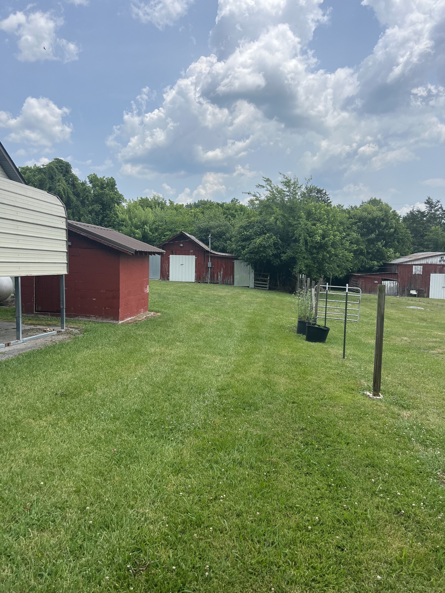 4629 Southeast Tater Peeler Road Lebanon, TN 37090 - Photo 10 of 11 a view of a backyard with a garden