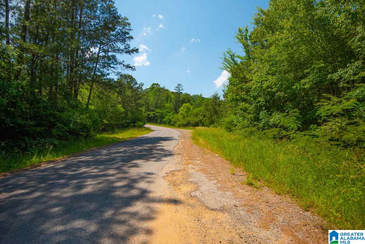 0 County Road 40, Unit 1 Arley, AL 35541 - Photo 9 of 11