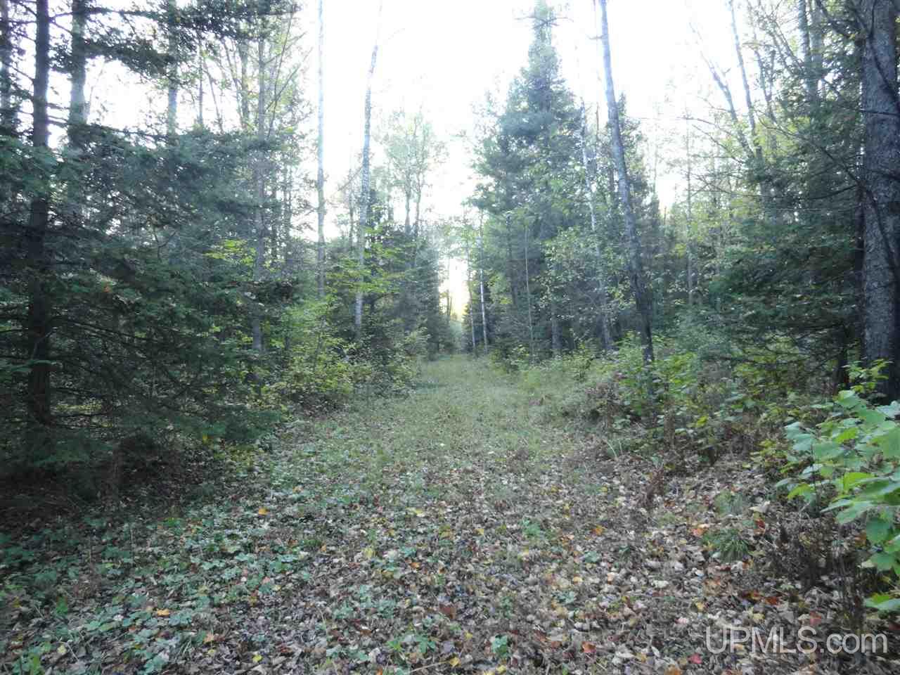 N12885 Newberg Road Channing, MI 49815 - Photo 27 of 33