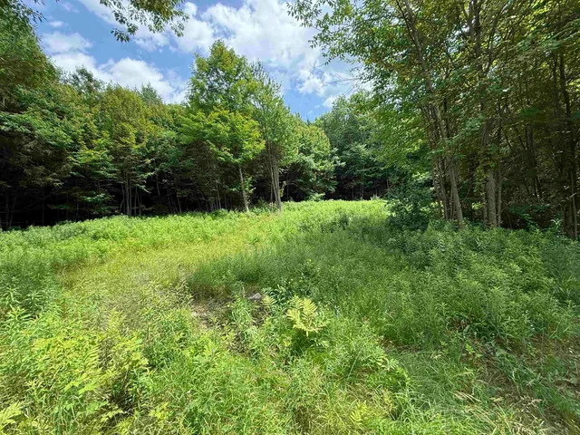 $150,000 | 127 Hidden Acres Drive, Bristol, VT 05443