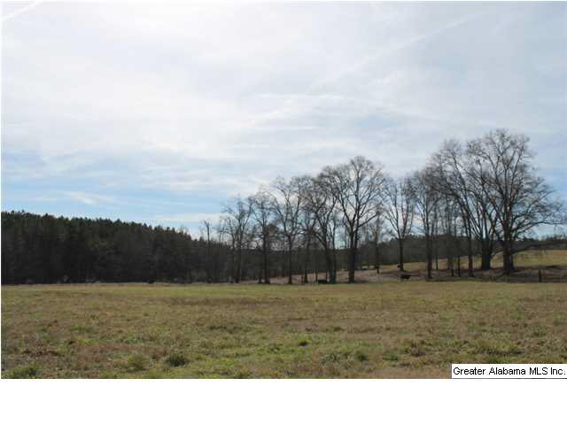 9 Highway 9, Unit 84 Lineville, AL 36266 - Photo 6 of 16