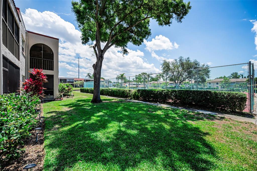 9700 Starkey Road, Unit 228 Seminole, FL 33777 - Photo 30 of 49