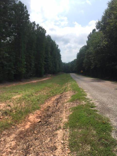 9590 Cove Road Manchester, GA 31816 - Photo 22 of 22 Gallery Image 22