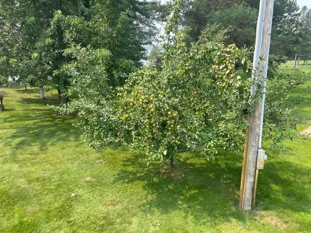 $599,900 | 7101 Browns Lane, Brainerd, MN 56401