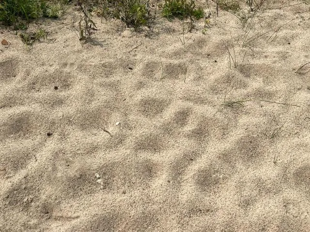 $599,900 | 7101 Browns Lane, Brainerd, MN 56401