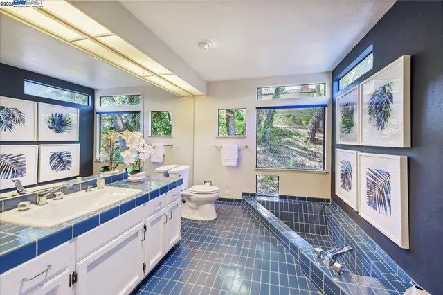 a bathroom with a shower and toilet