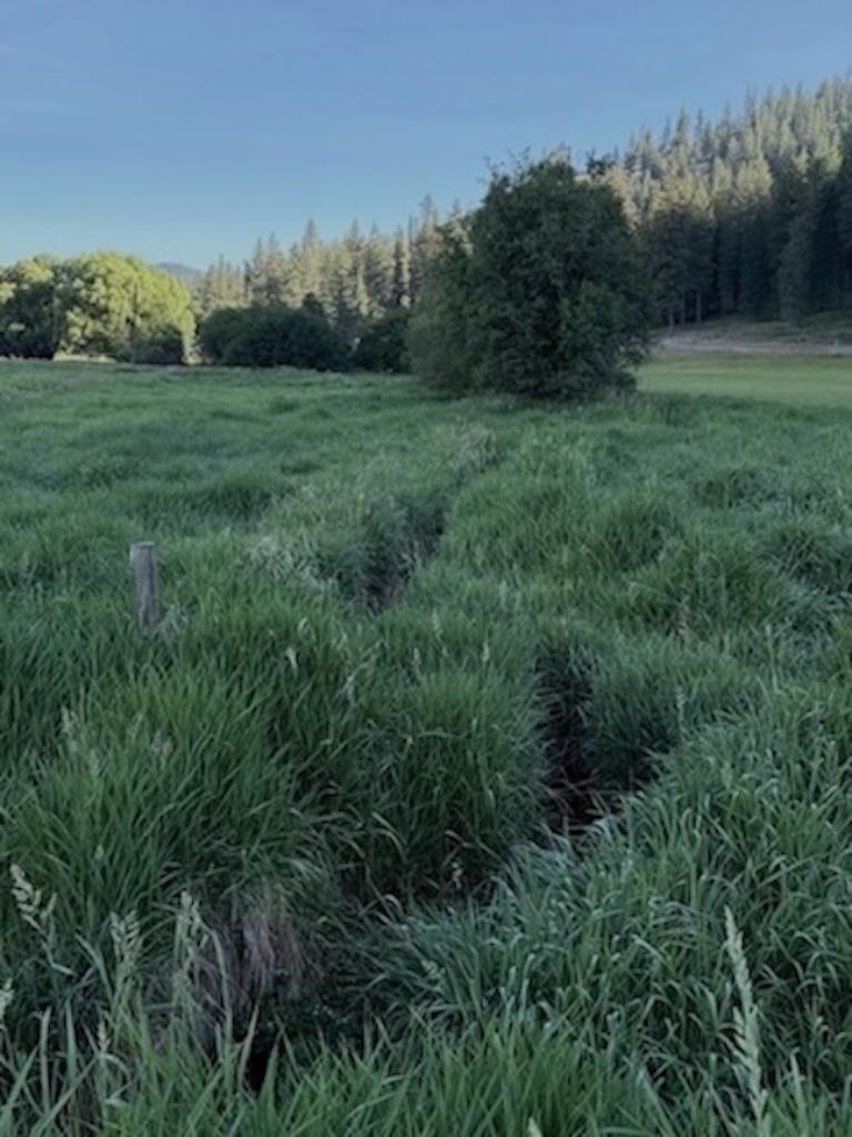 29-xx Red Marble Road Chewelah, WA 99109 - Photo 4 of 19