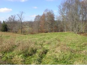 132 Matson Road Jonesborough, TN 37659 - Photo 7 of 9 Photo 7