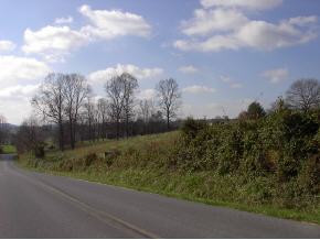 132 Matson Road Jonesborough, TN 37659 - Photo 8 of 9 Photo 8
