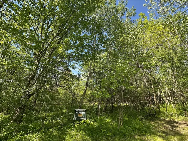 $40,000 | Greenfield Parkway, Buffalo, NY 14219