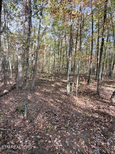 92-acres Dogwood Road Grandview, TN 37337 - Photo 13 of 14 IMG_7084