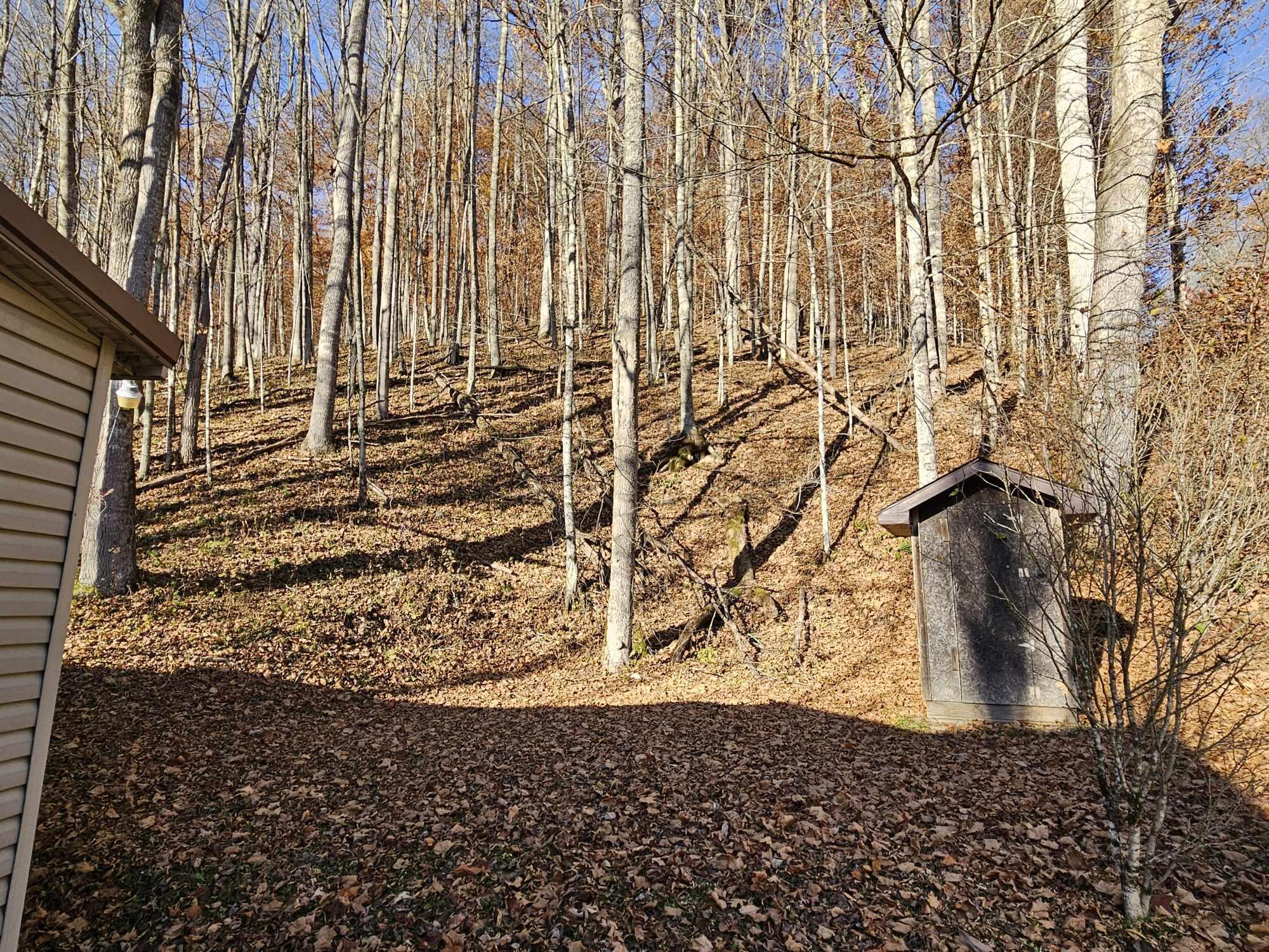 4156 Dry Branch Road Valley Head, WV 26294 - Photo 26 of 34 Gallery Image 26