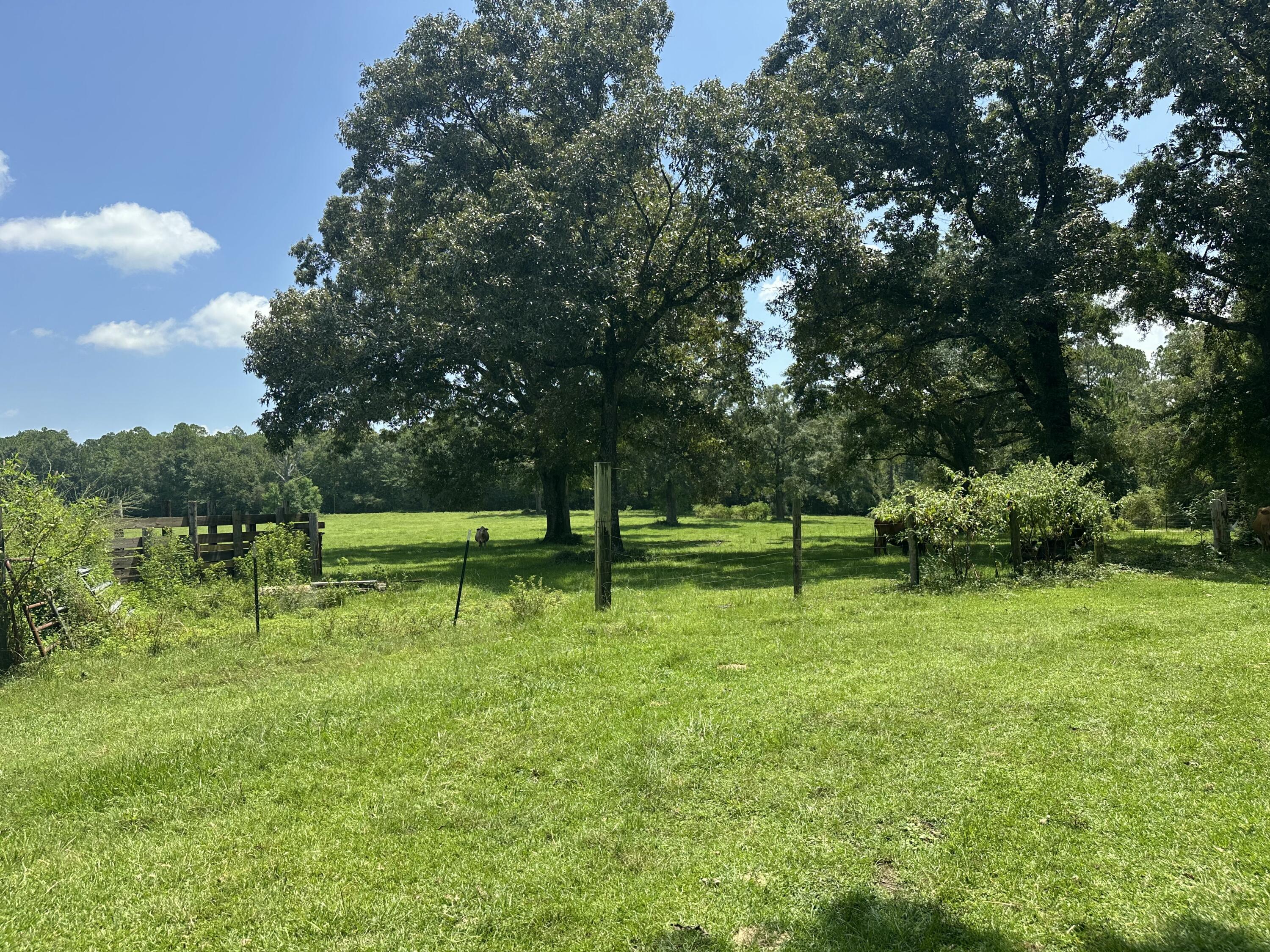 7-8 Bullard Road Milton, FL 32570 - Photo 1 of 3 IMG_1506