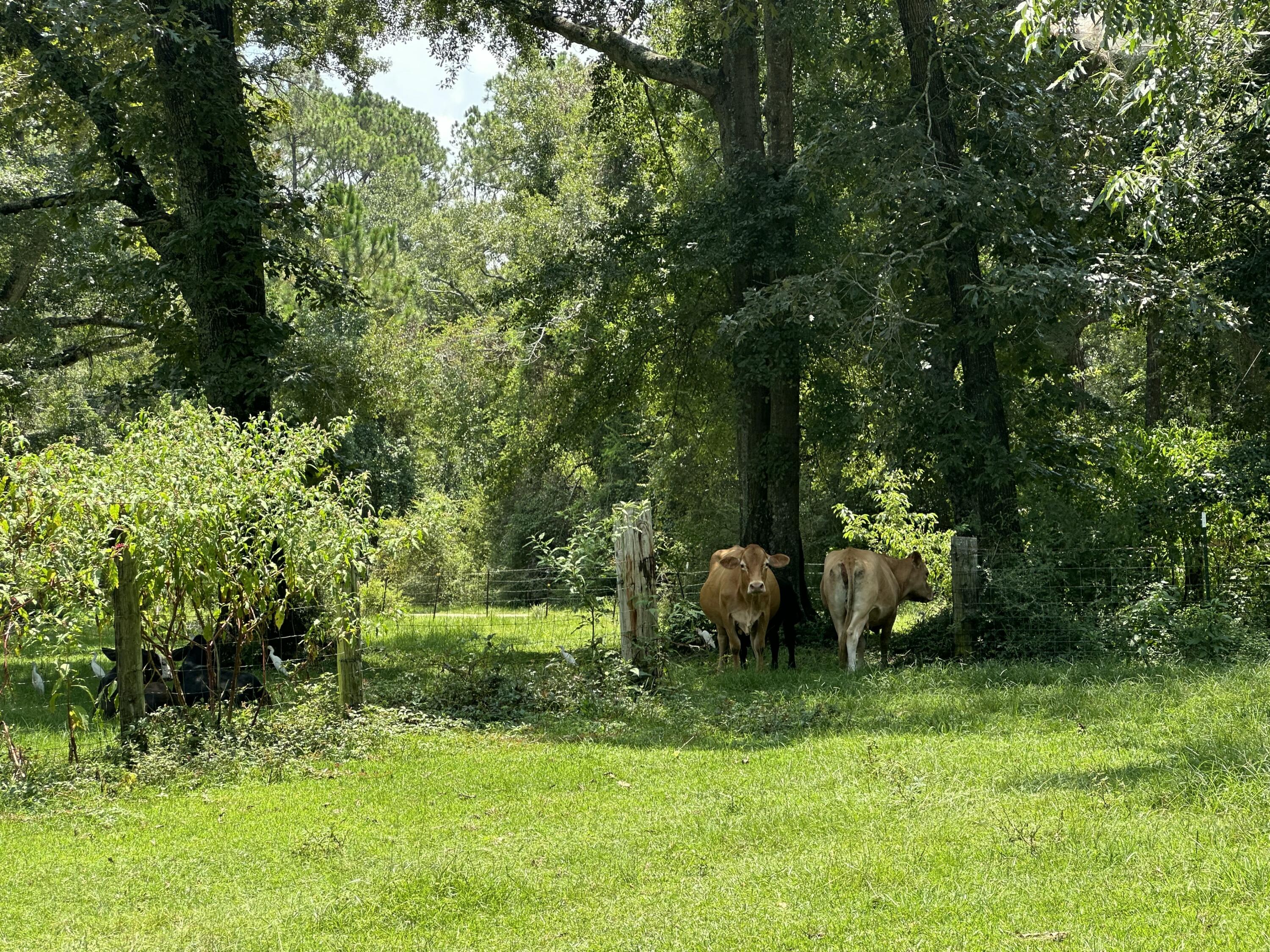 7-8 Bullard Road Milton, FL 32570 - Photo 2 of 3 IMG_1507