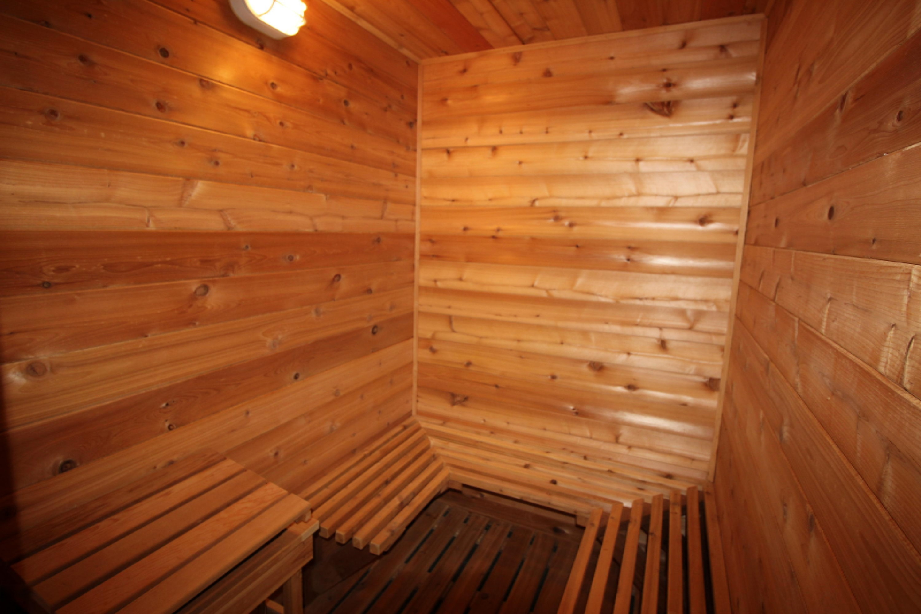 1001 Ravine Road South Haven, MI 49090 - Photo 34 of 52 1. sauna