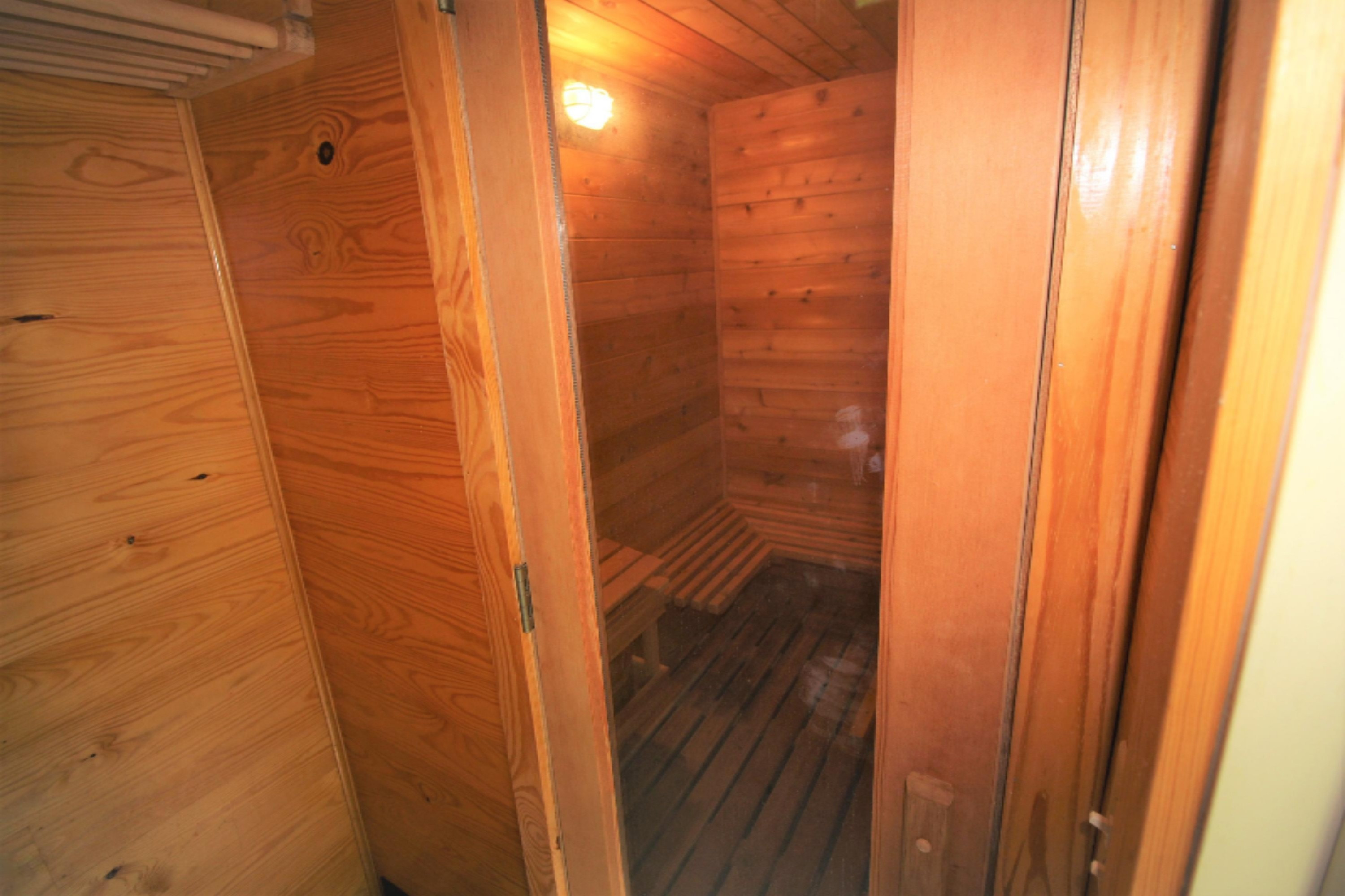 1001 Ravine Road South Haven, MI 49090 - Photo 35 of 52 1. sauna (2)