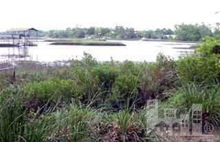 1835 Myrtle Grove Road Wilmington, NC 28409 - Photo 1 of 4 Primary Photo