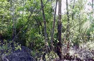 1835 Myrtle Grove Road Wilmington, NC 28409 - Photo 4 of 4 Additional Photo
