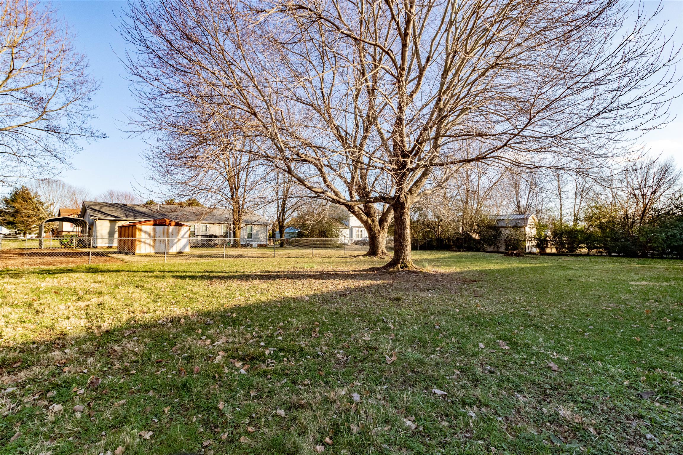 3411 Polly Drive Clarksville, TN 37042 - Photo 20 of 20 a view of yard with trees
