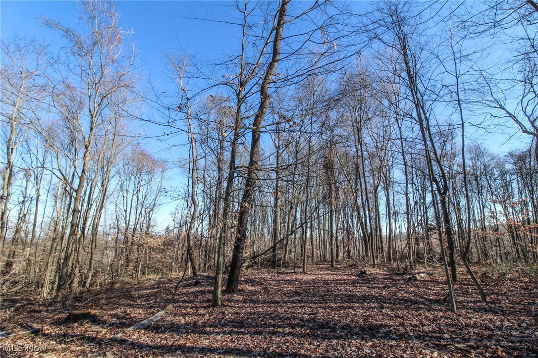 0 Pleasant Chapel Road Southeast Newark, OH 43056 - Photo 15 of 23 View of yard
