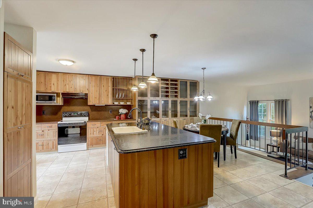 14205 Tree House Terrace Silver Spring, MD 20906 - Photo 4 of 58 Gallery Image 4
