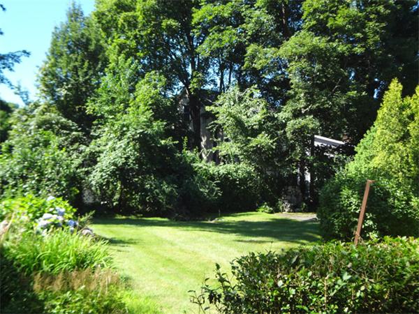 46 Brewster Road Medford, MA 02155 - Photo 3 of 17 Gallery Image 3
