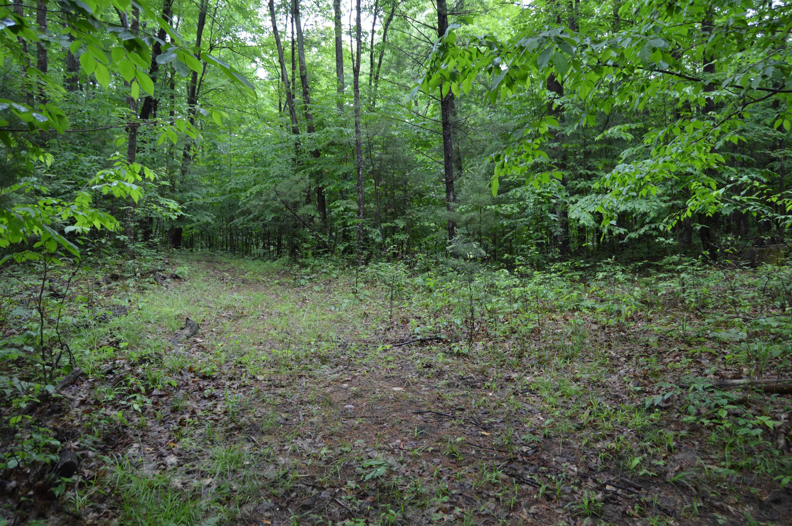 0 Wheeler Oaks Road Williamsburg, MI 49690 - Photo 2 of 23 Gallery Image 2