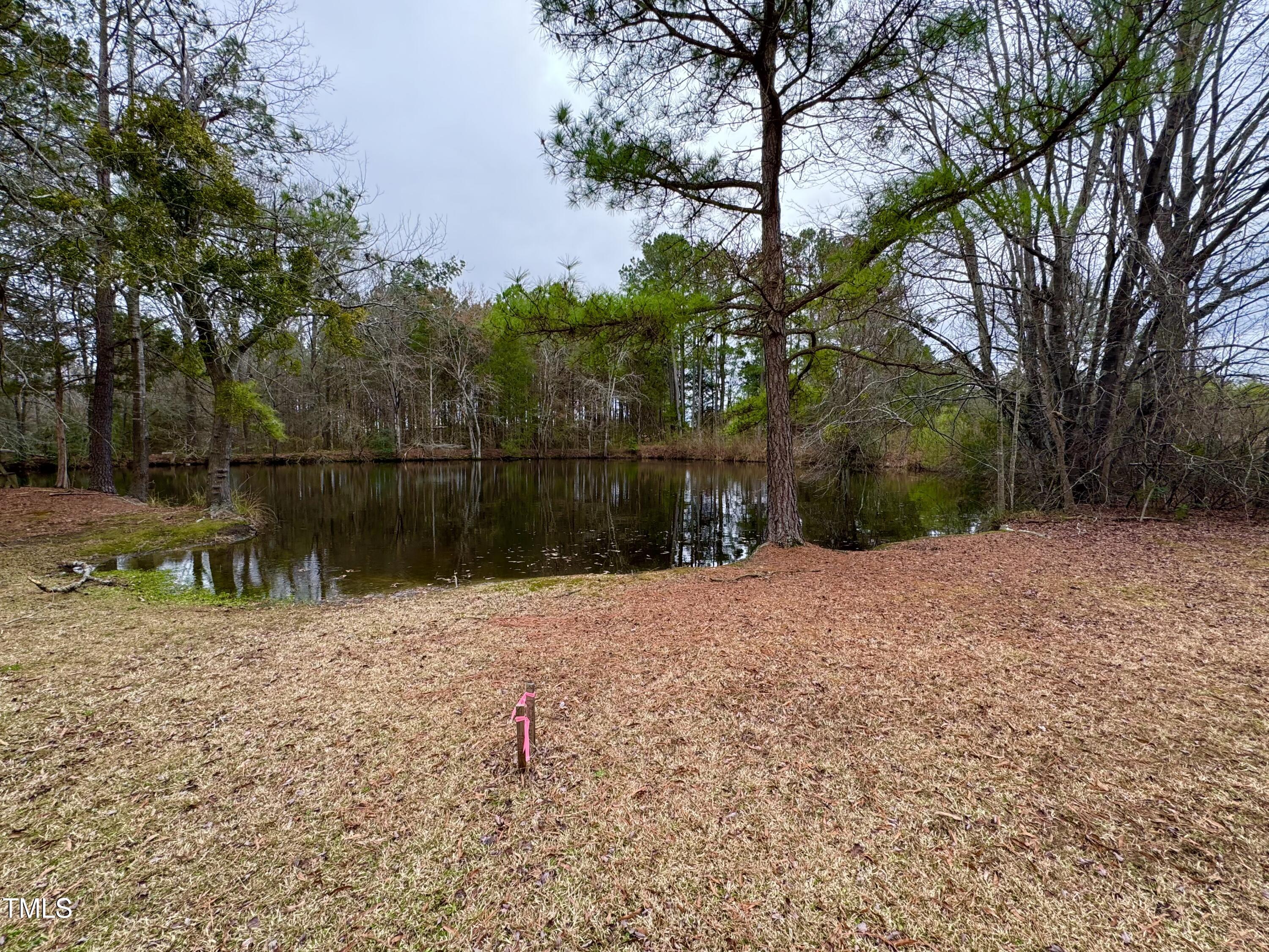 0 Green Pace Road Zebulon, NC 27597 - Photo 2 of 4 gannon 1