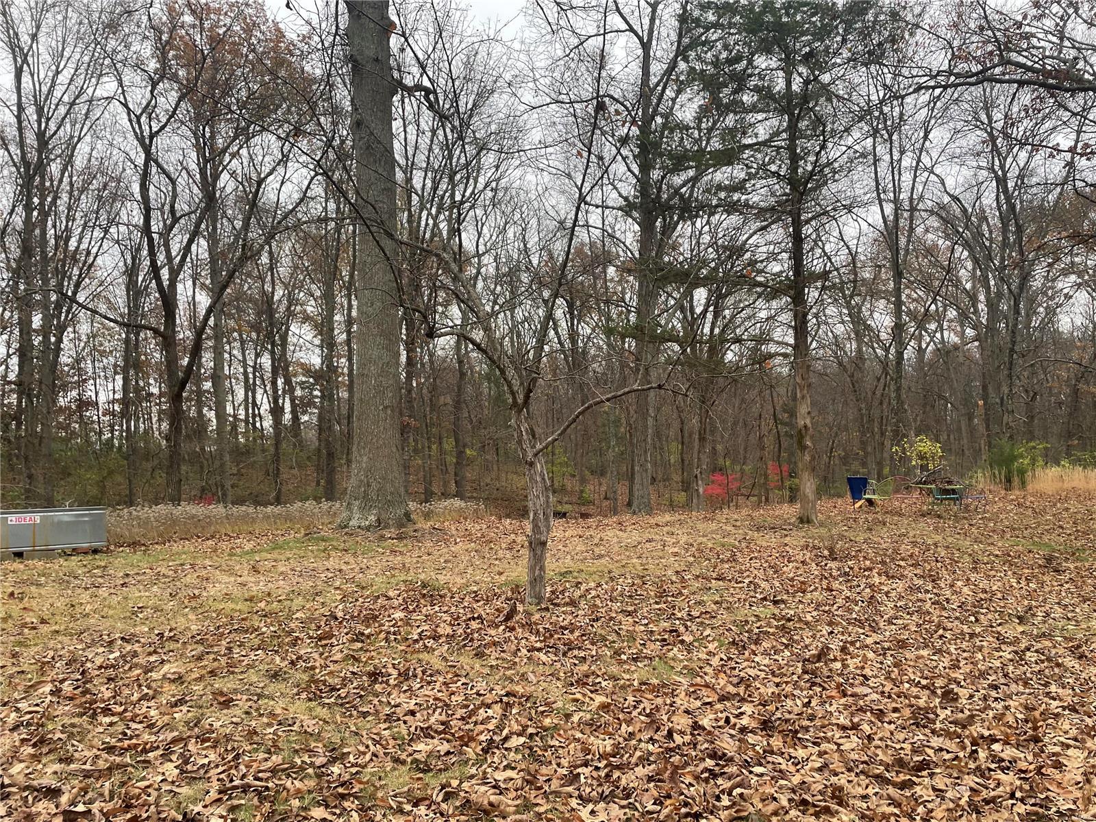 4186 Hoover Road Oakdale, IL 62268 - Photo 17 of 54 Gallery Image 17