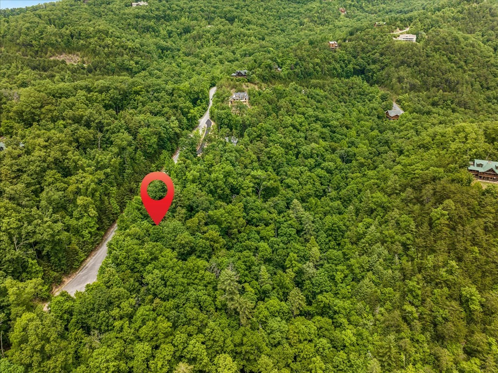 73 Redtail Road Sevierville, TN 37862 - Photo 11 of 13